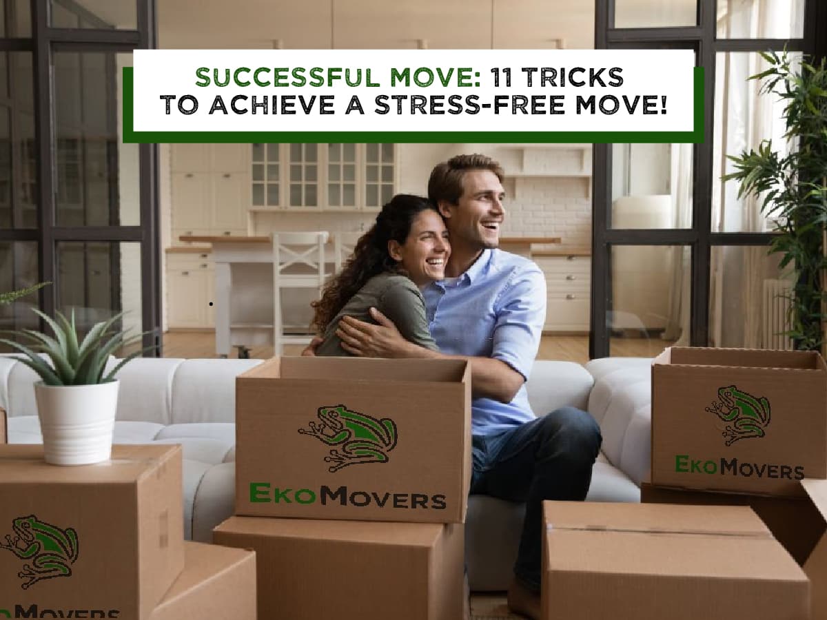 Successful Move