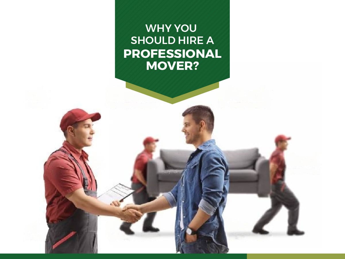 Professional Mover